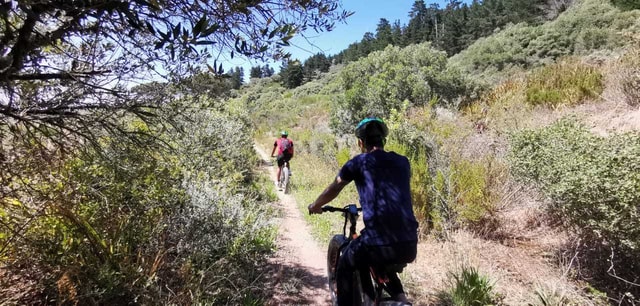 Full-Day Winelands E-Bike Tour with Wine Tasting & Lunch