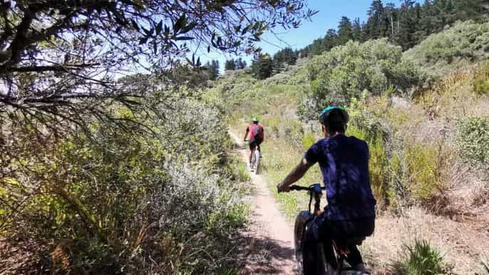 from cape town ebike winelands tour