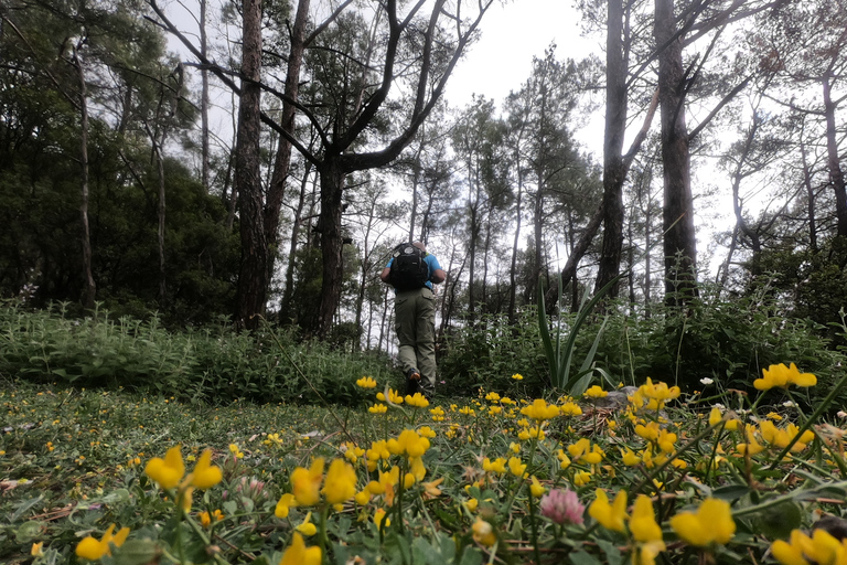 Rhodes Akramitis Mountain: Hike to the Top