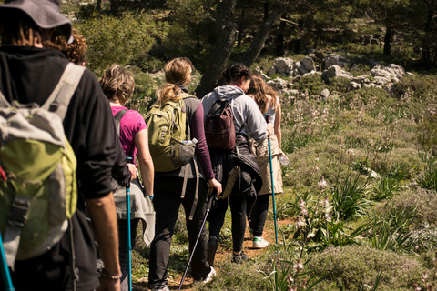 Rhodes Akramitis Mountain: Hike to the Top