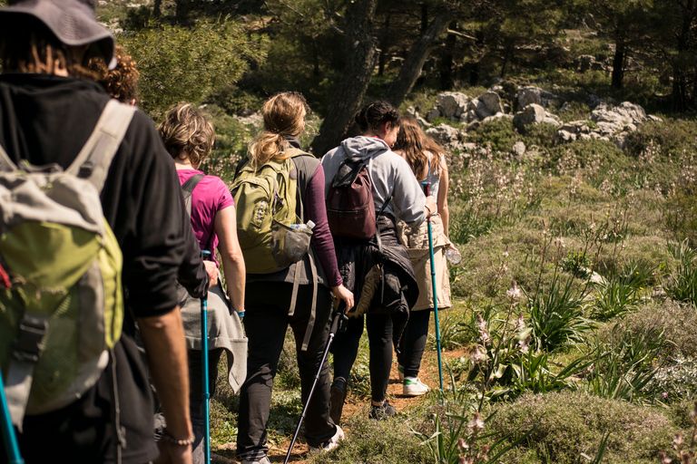 Rhodes Akramitis Mountain: Hike to the Top