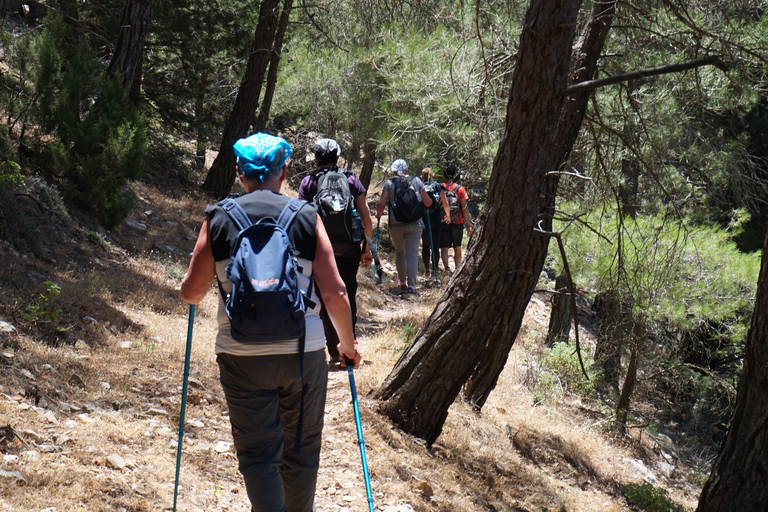 Rhodes Akramitis Mountain: Hike to the Top