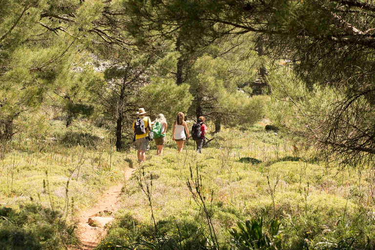 Île de Rhodes : randonnée jusqu'au sommet du mont Akramitis