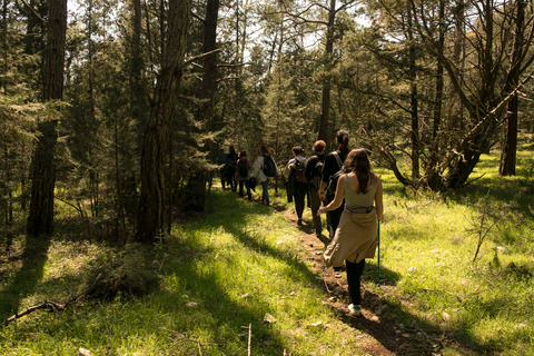 Rhodes Akramitis Mountain: Hike to the Top