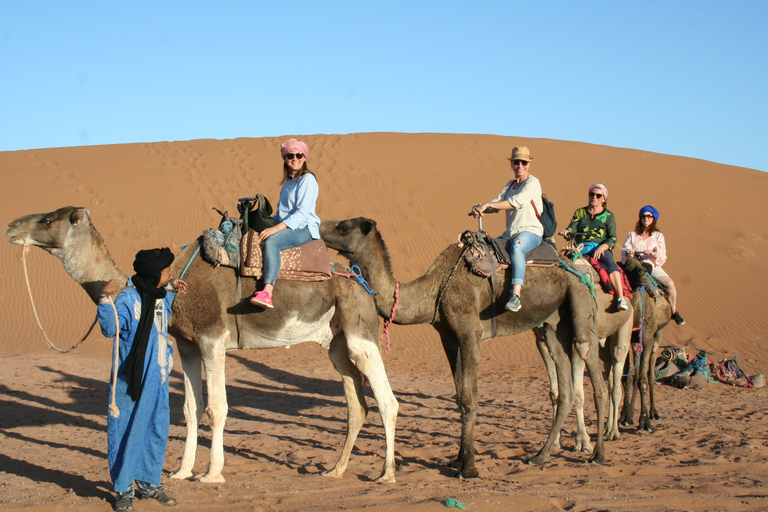From Zagora: 2-Day Desert Tour to Erg Chegaga