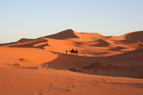 From Zagora: 2-Day Desert Tour to Erg Chegaga