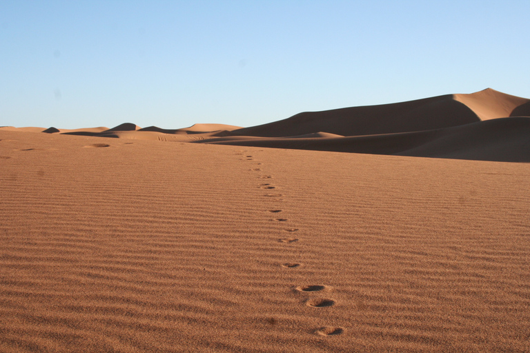 From Zagora: 2-Day Desert Tour to Erg Chegaga
