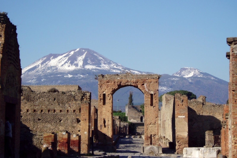Naples: Full-Day Pompeii & Herculaneum Wine Tasting Tour Tour from Naples
