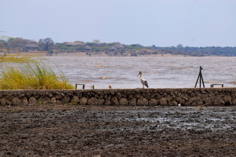 Mto wa Mbu: Waterfall, Maasai Boma, Village, & Balaa Hill Mto wa Mbu Tour & Canoe Ride on Lake Manyara