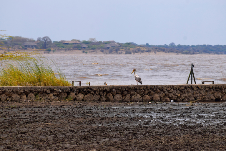 Mto wa Mbu: Waterfall, Maasai Boma, Village, & Balaa Hill Mto wa Mbu Tour & Canoe Ride on Lake Manyara