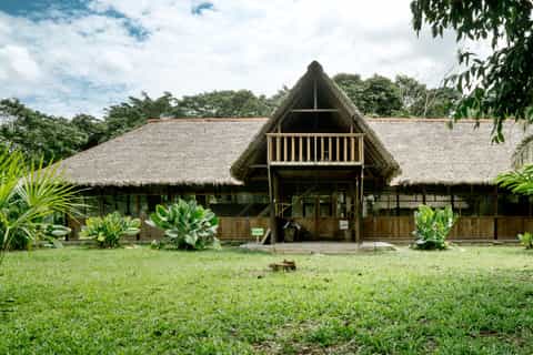 Puerto Maldonado: 4-Day Tambopata Rainforest Tour