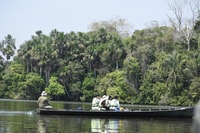Puerto Maldonado, 4-Day Tambopata Rainforest Tour - Housity