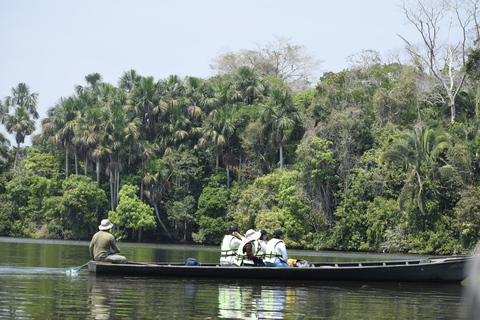 Puerto Maldonado: 4-tägige Tambopata-Regenwald-Tour