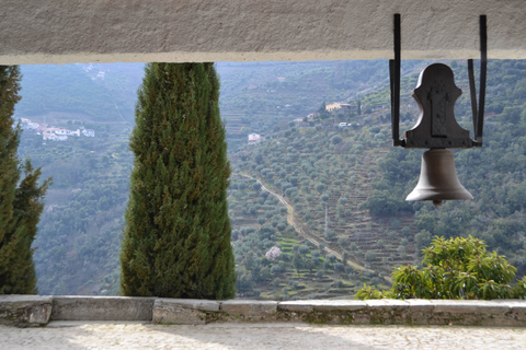 Douro-Tal: Tour mit 3 Weingütern und Mittagessen