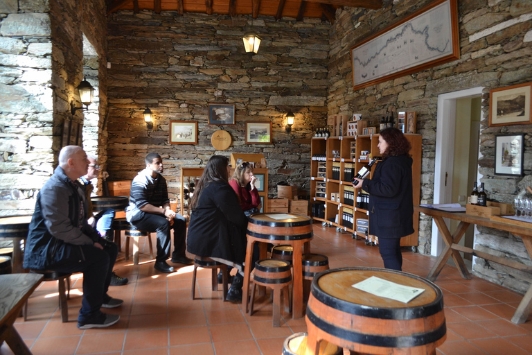 Vallée du Douro : visite de 3 vignobles avec déjeuner