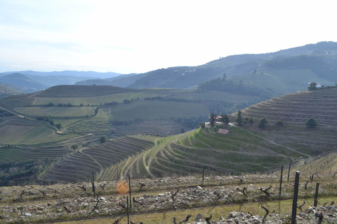 Douro-Tal: Tour mit 3 Weingütern und Mittagessen