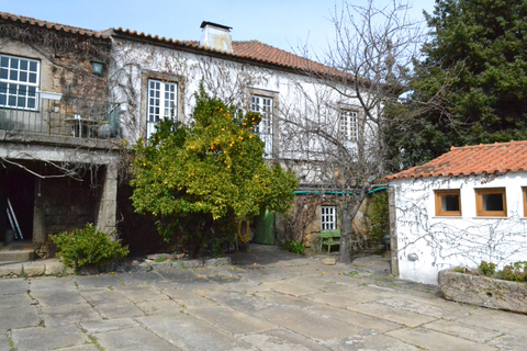 Porto: 3 Vinhedos do Vale do Douro com almoçoPonto de encontro: 3 Tour dos Vinhedos do Vale do Douro com almoço