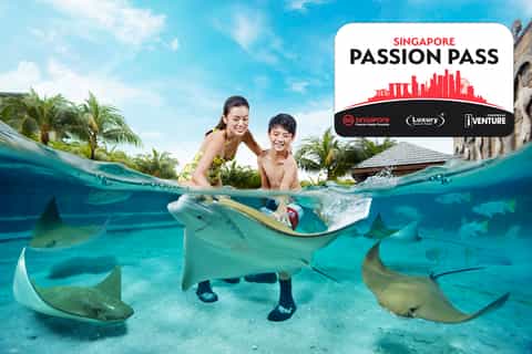 singapore passion pass flexi