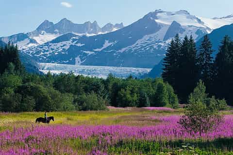 juneau city highlights tour