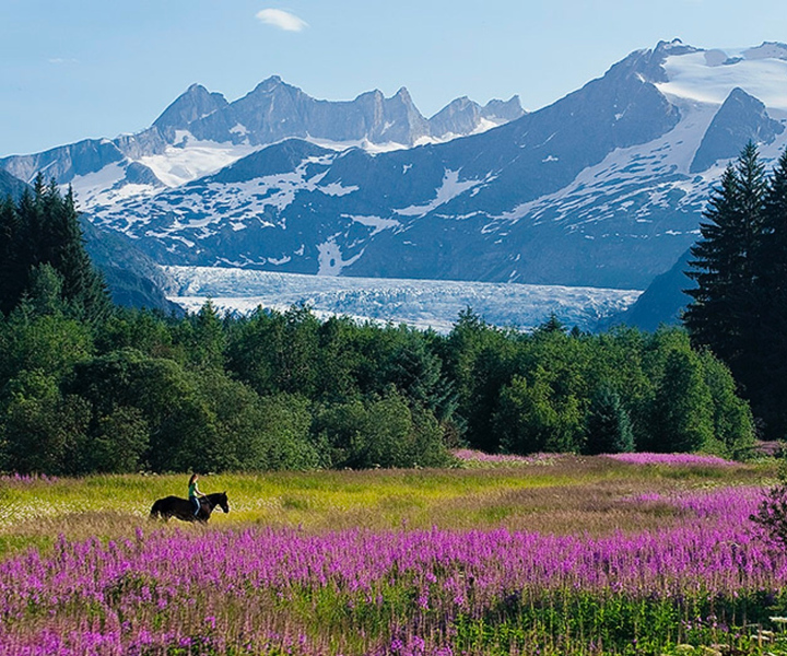 Juneau: City Highlights Tour