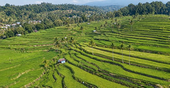 From Lombok: 2-Day Village Homestay with Waterfall Visit