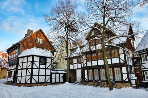 City tour in Braunschweig, Brunonen, monks and saints City tour of Braunschweig for 3 to 6 people