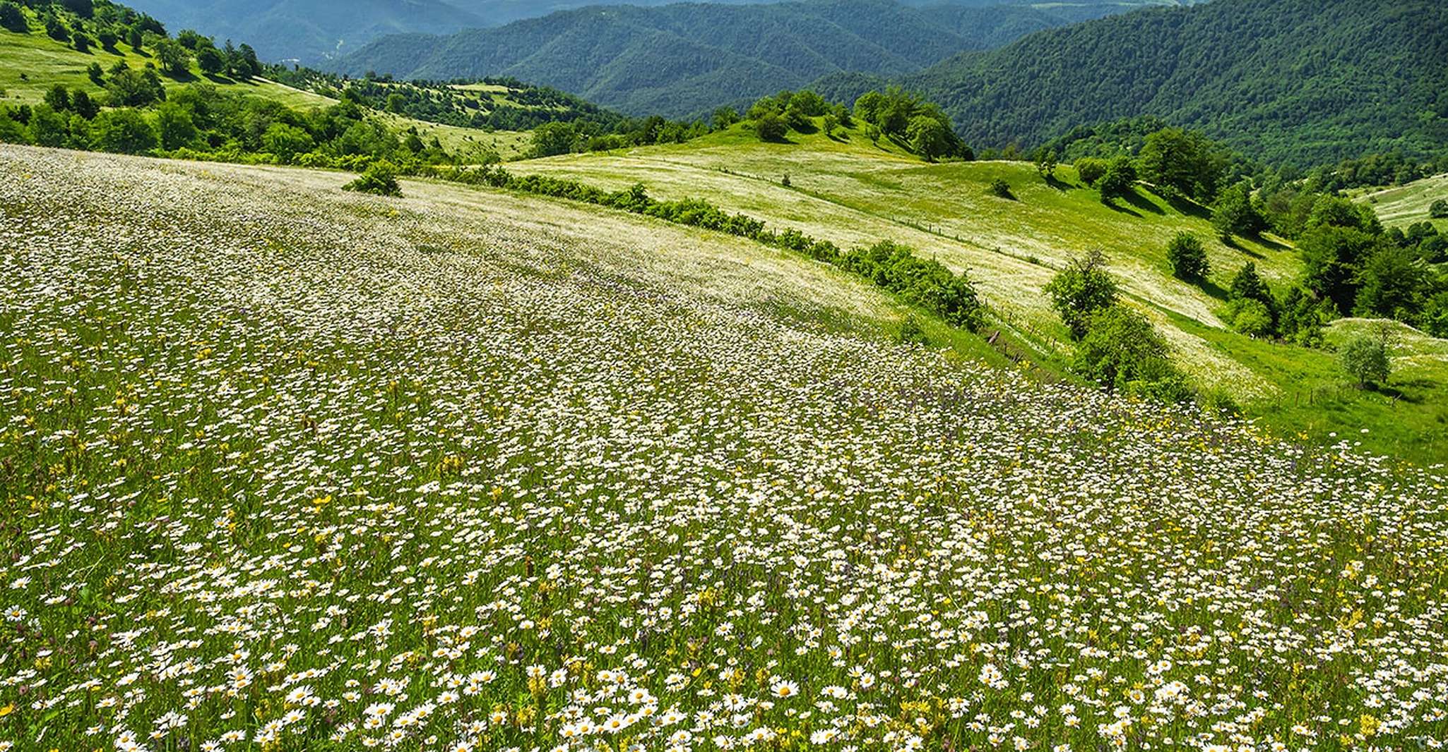 Buranın yakınındaki restoranlar: Tavush & The Discovery of Lake Sevan - Hizvo