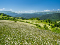Buranın yakınındaki restoranlar: Tavush & The Discovery of Lake Sevan - Hizvo