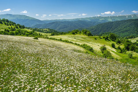 Camping privé à Tavush et découverte du lac Sevan