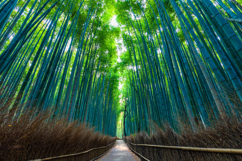 Kyoto: visite à pied d'Arashiyama de 4 heures