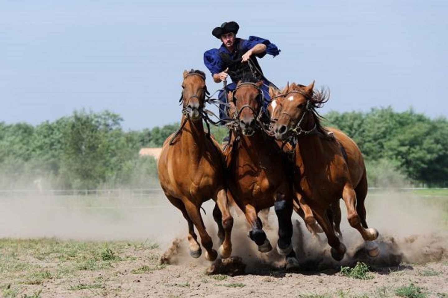 부다페스트 출발: 푸스타 투어와 점심&쇼