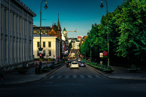 Oslo: 5-Hour Private City Highlights Walking Tour In German - Private Oslo & Viking Ship Museum Walking Tour