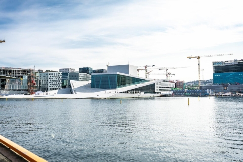 Oslo: visite à pied de 5 heures de la ville privéeEn allemand - Visite privée à pied d'Oslo et du musée des navires vikings