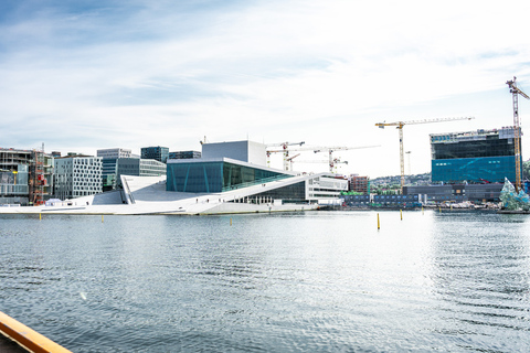 Oslo: tour privado a pie de 5 horas por la ciudadEn alemán: tour privado a pie por el museo de barcos vikingos de Oslo