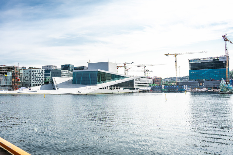 Oslo: tour privado a pie de 5 horas por la ciudadEn alemán: tour privado a pie por el museo de barcos vikingos de Oslo