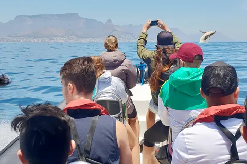 Le Cap : Safari marin Big 5 au départ du V&A Waterfront