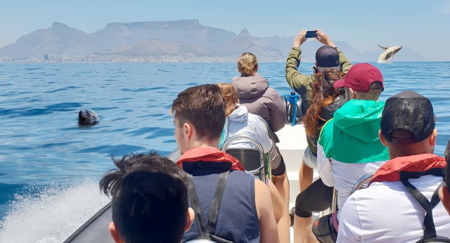 Visit Cape Town Marine Big 5 Ocean Safari from V&A Waterfront in Cape Town