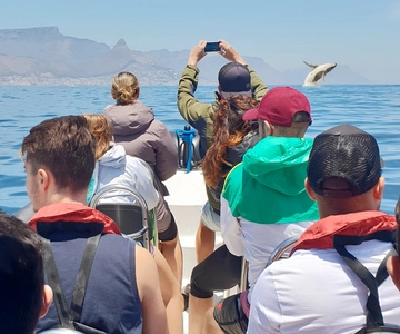 Cape Town: Marine Big 5 Ocean Safari from V&A Waterfront