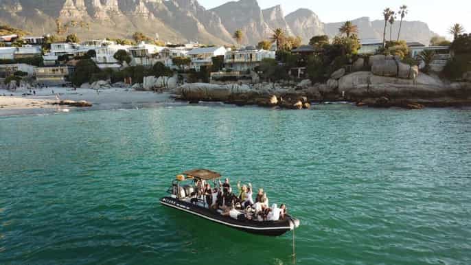 cape town 1.5hour sunset boat tour with gin tasting