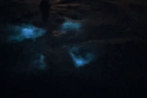 From San Juan: Bio Bay Magic & Rum Tasting Tour From San Juan: Bioluminescent Bay Boat Tour and Hot Springs