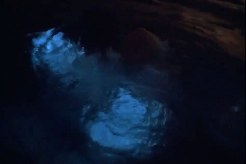 From San Juan: Bio Bay Magic & Rum Tasting Tour From San Juan: Bioluminescent Bay Boat Tour and Hot Springs