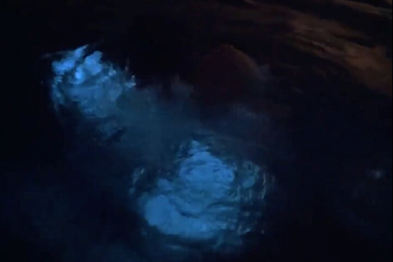 From San Juan: Bio Bay Magic & Rum Tasting Tour From San Juan: Bioluminescent Bay Boat Tour and Hot Springs