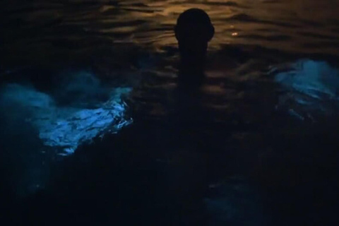 From San Juan: Bio Bay Magic & Rum Tasting Tour From San Juan: Bioluminescent Bay Boat Tour and Hot Springs