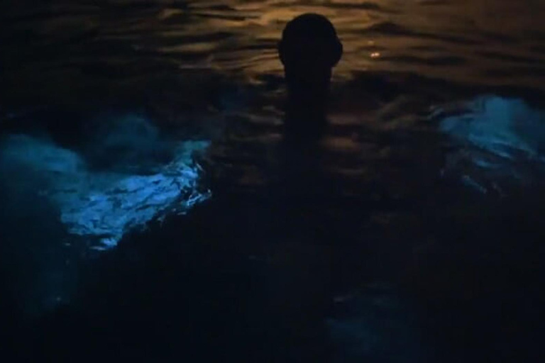 From San Juan: Bio Bay Magic & Rum Tasting Tour From San Juan: Bioluminescent Bay Boat Tour and Hot Springs