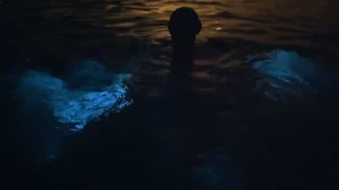 from san juan or ponce bioluminescent bay boat tour
