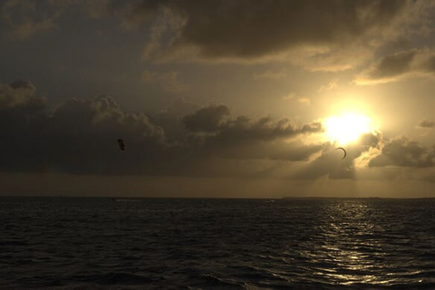 From San Juan: Bio Bay Magic & Rum Tasting Tour From San Juan: Bioluminescent Bay Boat Tour and Hot Springs