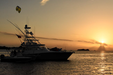 From San Juan: Bio Bay Magic & Rum Tasting Tour From San Juan: Bioluminescent Bay Boat Tour and Hot Springs