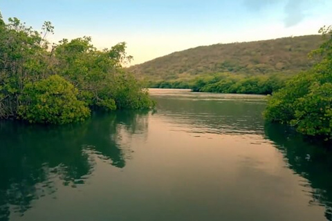 From San Juan: Bio Bay Magic & Rum Tasting Tour From San Juan: Bioluminescent Bay Boat Tour and Hot Springs