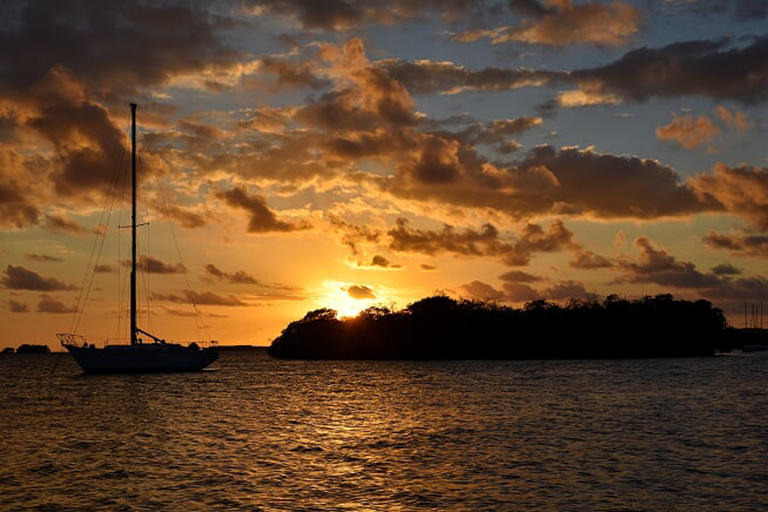 From San Juan: Bio Bay Magic & Rum Tasting Tour From San Juan: Bioluminescent Bay Boat Tour and Hot Springs