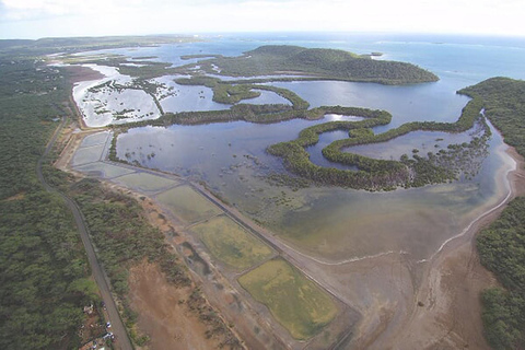 From San Juan: Bio Bay Magic & Rum Tasting Tour From San Juan: Bioluminescent Bay Boat Tour and Hot Springs